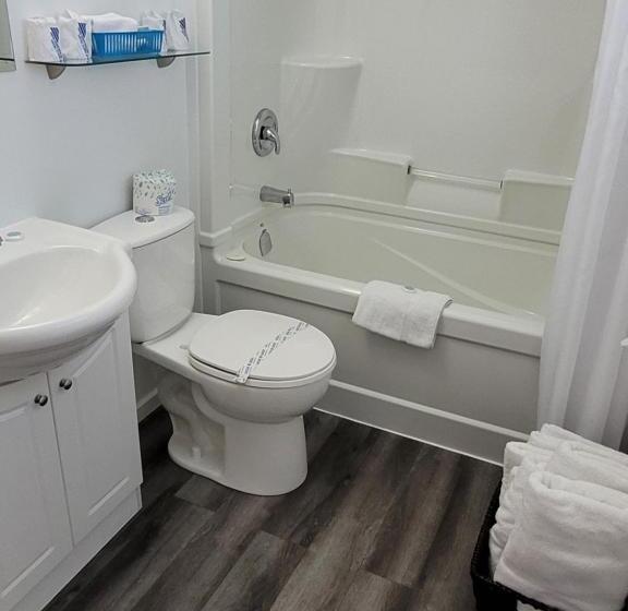 Студия Deluxe, Pines Motel