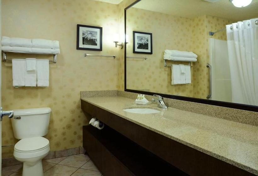 キングサイズベッドのスタンダードルーム, Holiday Inn Lethbridge, An Ihg