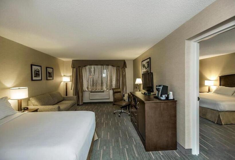 جناح سرير كينج, Holiday Inn Lethbridge, An Ihg