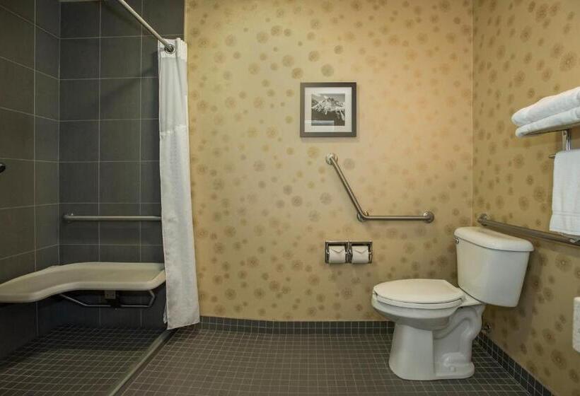 غرفة ديلوكس لذوى الاحتياجات الخاصة, Holiday Inn Lethbridge, An Ihg