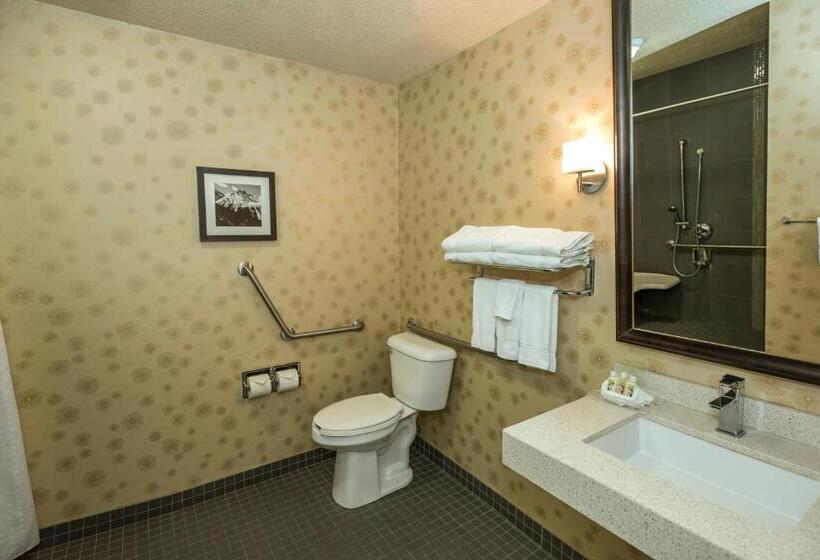 障害者適応デラックスルーム, Holiday Inn Lethbridge, An Ihg