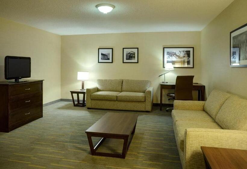 جناح ذو إطلالة, Holiday Inn Lethbridge, An Ihg