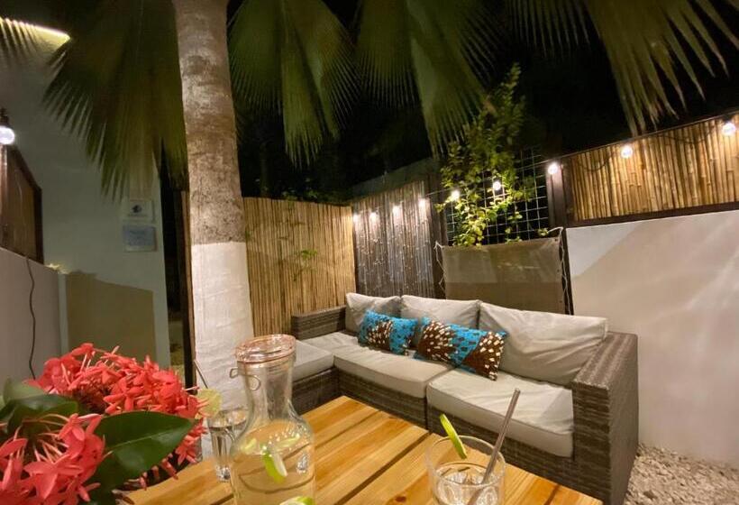 استودیو استاندارد با تخت کینگ, B&b Kas Chuchubi