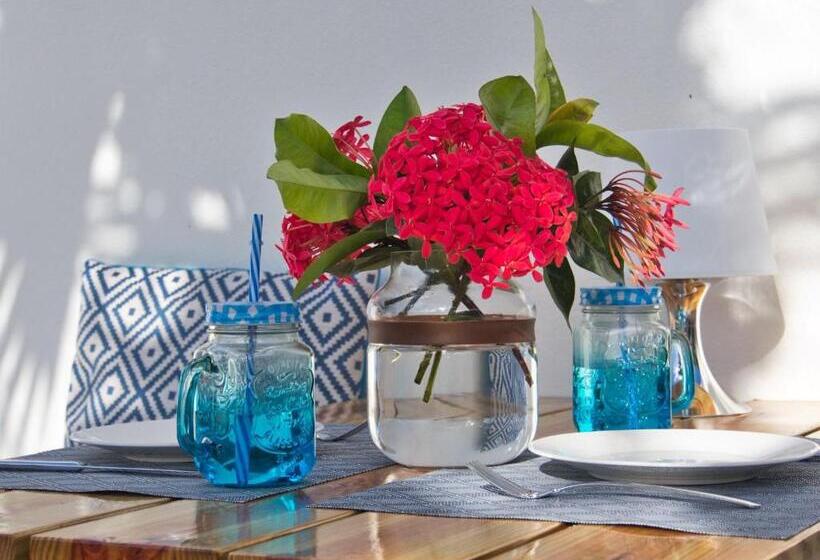 استودیو استاندارد با تخت کینگ, B&b Kas Chuchubi
