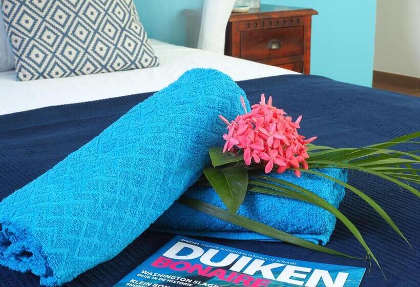 استودیو استاندارد با تخت کینگ, B&b Kas Chuchubi