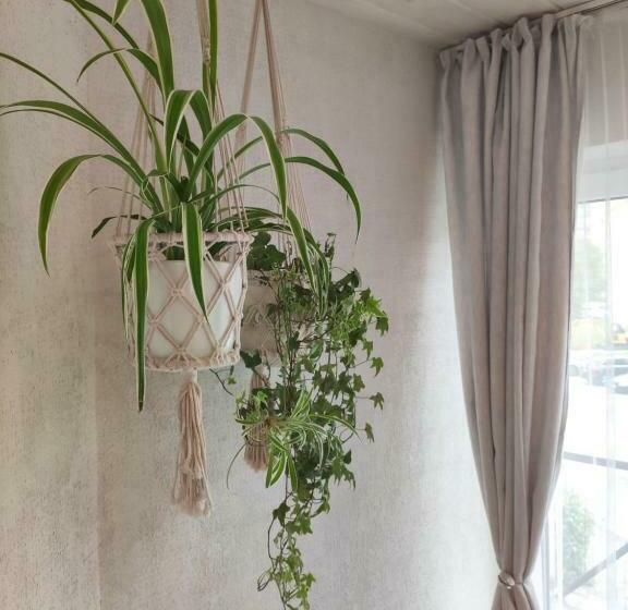 آپارتمان سوپریور 1 خوابه, Family House