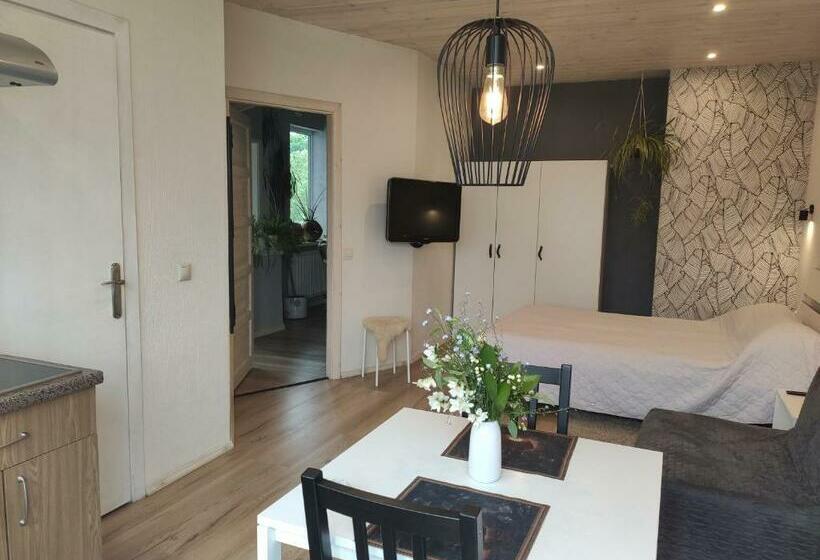 آپارتمان 1 خوابه با بالکن, Family House