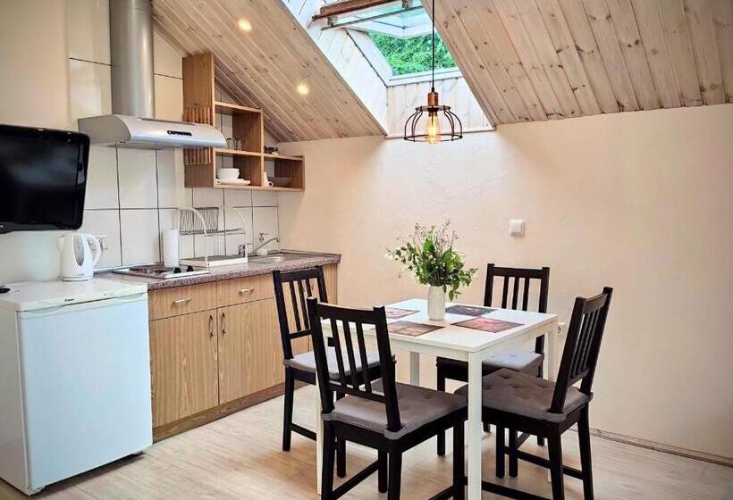 آپارتمان 1 خوابه با چشم‌انداز باغ, Family House