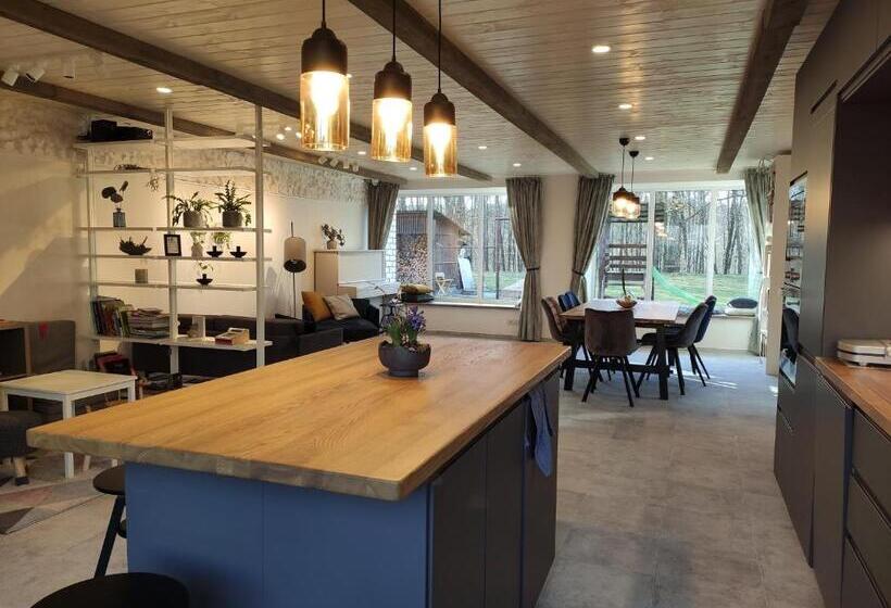 ویلای 1 خوابه, Family House