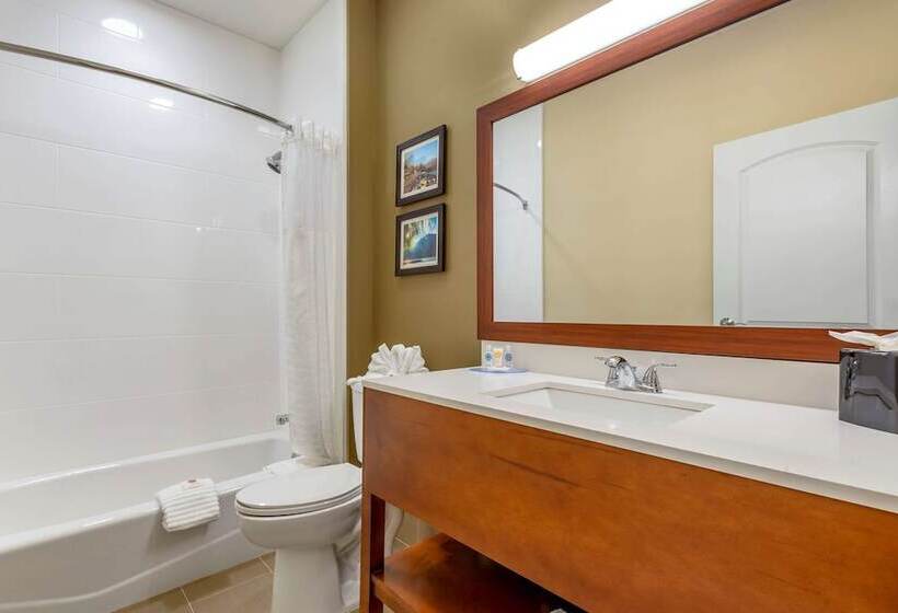Quarto Estandar 2 Camas Casal, Comfort Inn