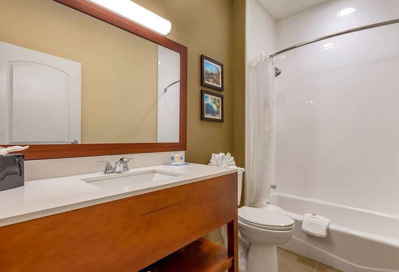 Quarto Estandar 2 Camas Casal, Comfort Inn