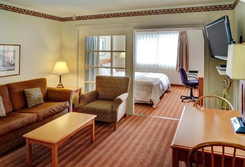 Люкс, Lakeview Inns & Suites  Brandon