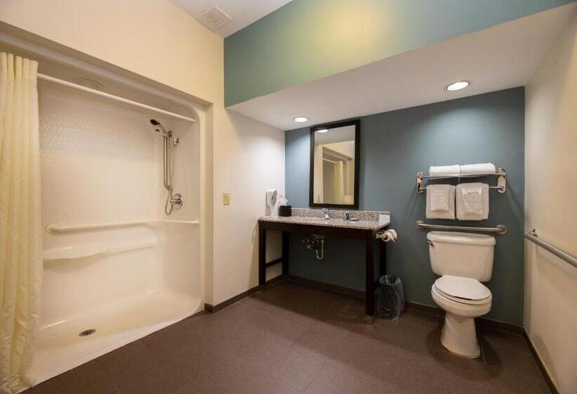 장애인을 위한 스탠다드 룸, Sleep Inn & Suites Monticello