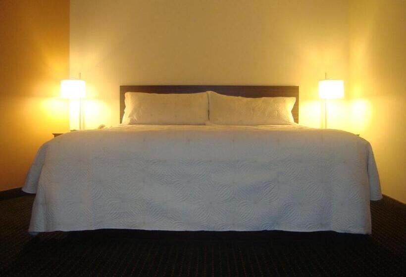 جناح سرير كينج, Travelodge By Wyndham Bracebridge