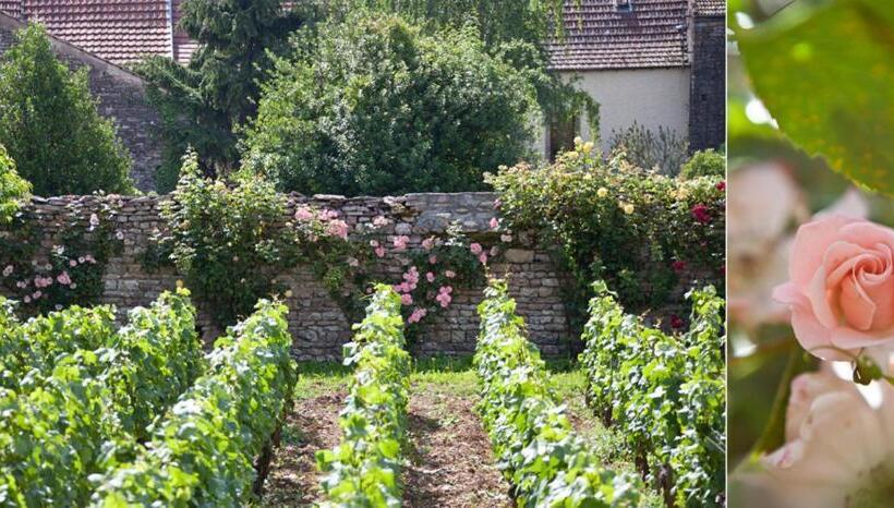 Дом 1 Спальня, Domaine Violot Guillemard