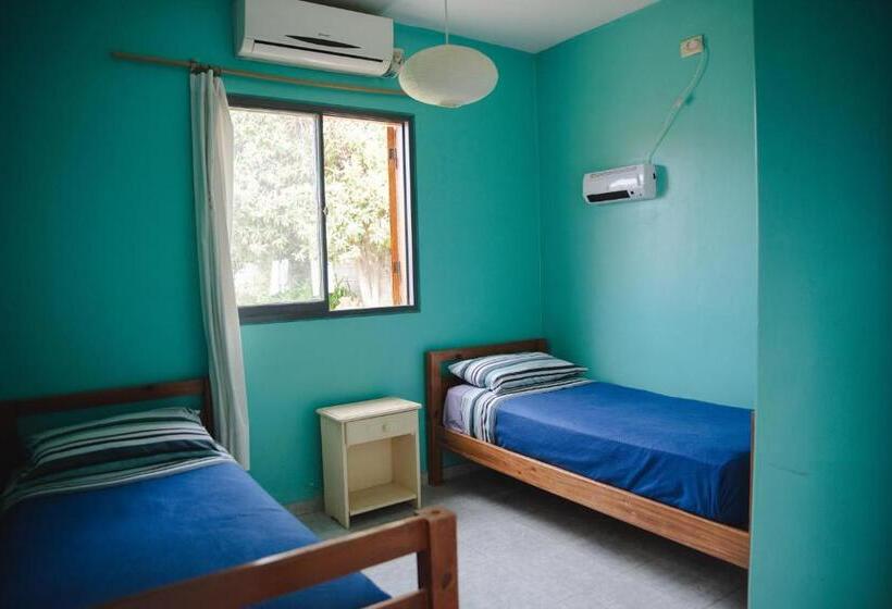 اتاق استاندارد, Hostel Trotamundos