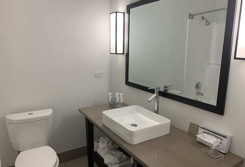 Suíte, Country Inn & Suites By Radisson Chicago O Hare South Il