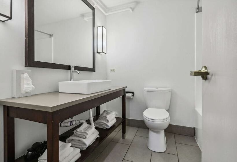 Suíte, Country Inn & Suites By Radisson Chicago O Hare South Il