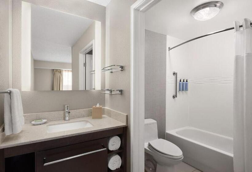 Suite, Residence Inn Indianapolis Northwest