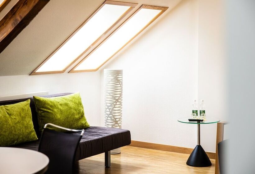 Номер Стандарт, Odelya Hotel & Naturgarten Basel City
