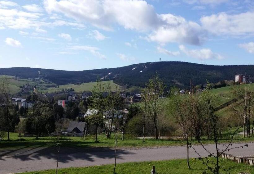 Номер Стандарт Индивидуальный, Panorama Hotel Oberwiesenthal