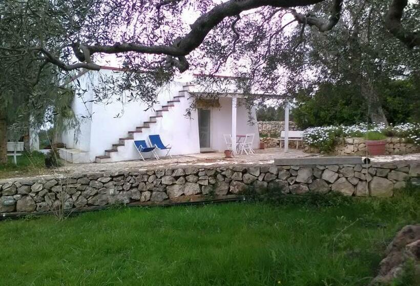 استودیوی استاندارد, B&b La Casa Degli Artisti