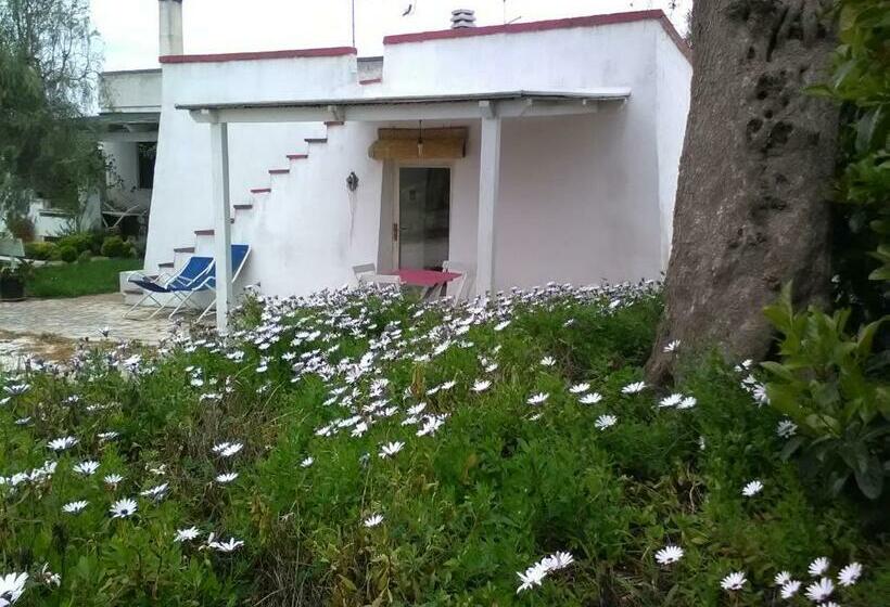 استودیوی استاندارد, B&b La Casa Degli Artisti