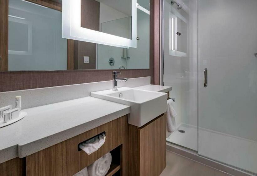 Люкс, Springhill Suites By Marriott Wrentham Plainville
