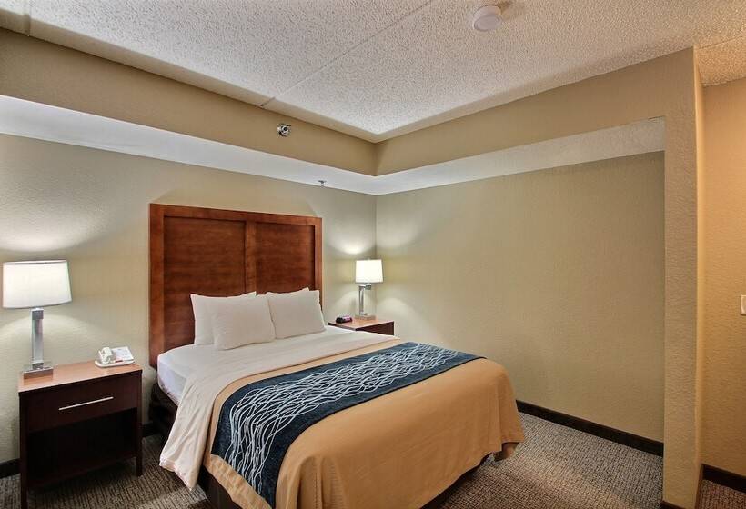 장애인을 위한 스위트, Comfort Inn & Suites Jackson   West Bend