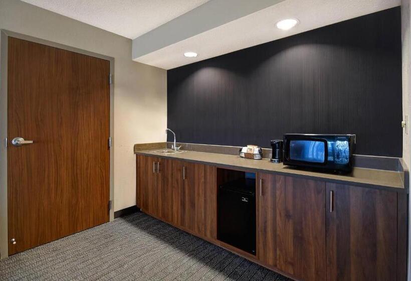 سوئیت با تخت بزرگ, Courtyard By Marriott Cincinnati Airport