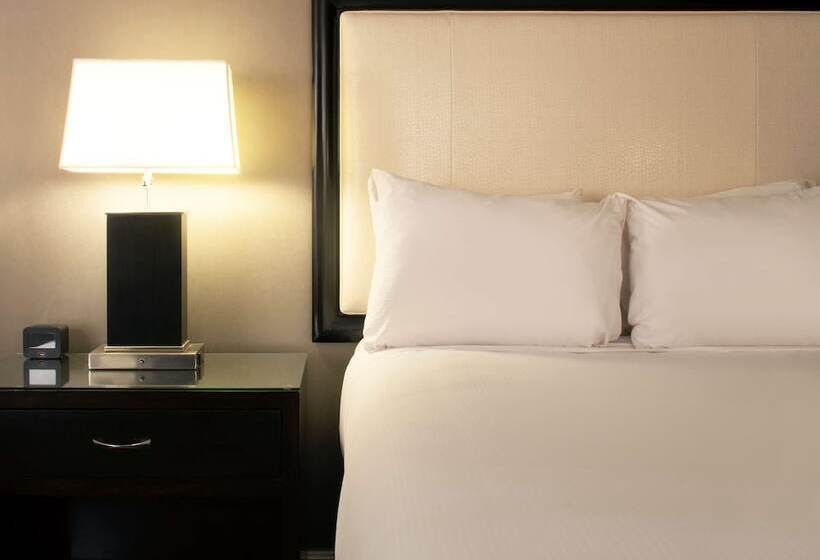 디럭스 룸, Hilton Alexandria Old Town