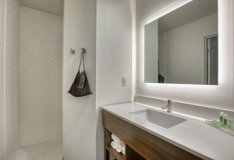 Suite, Holiday Inn Hotel & Suites Madison West, An Ihg