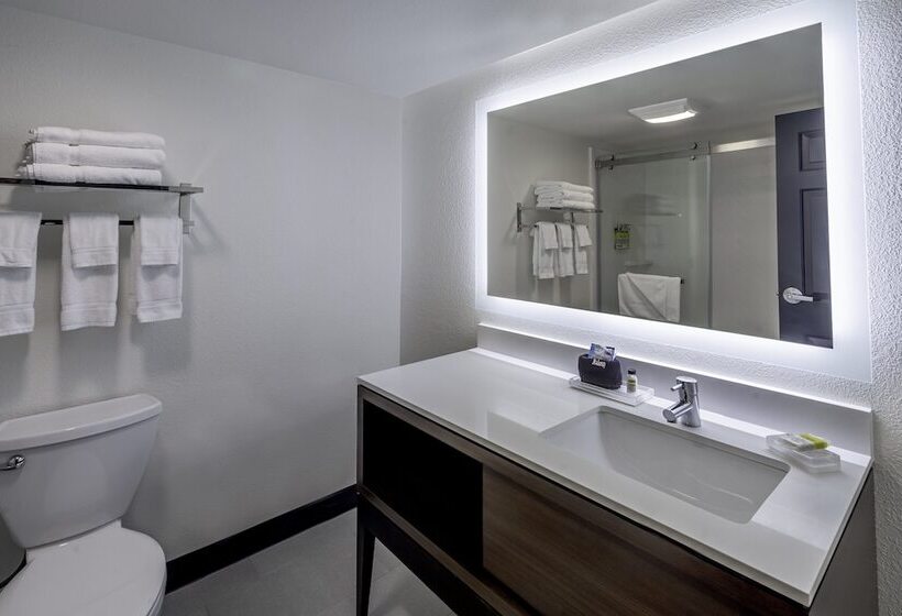 Номер Стандарт, Holiday Inn & Suites Wausau Rothschild, An Ihg
