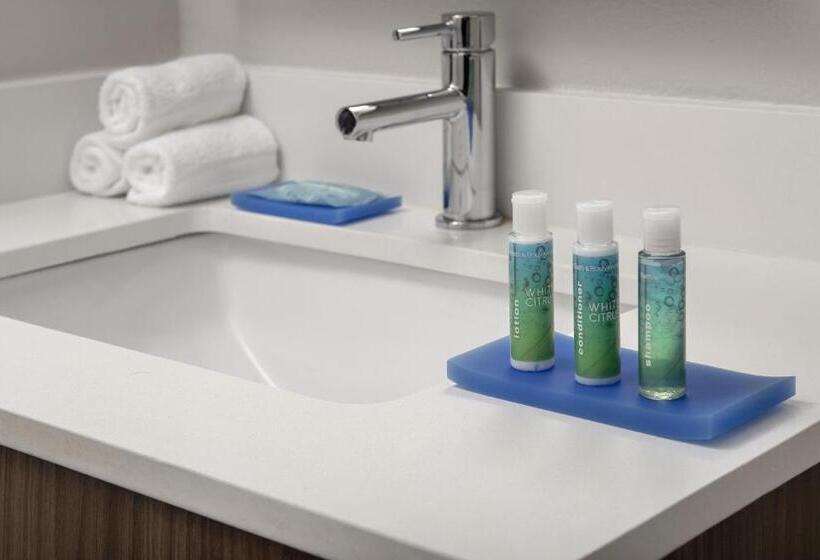 Habitació Estàndard Adaptada per a Discapacitats, Holiday Inn Express San Antonio North Riverwalk Area, An Ihg