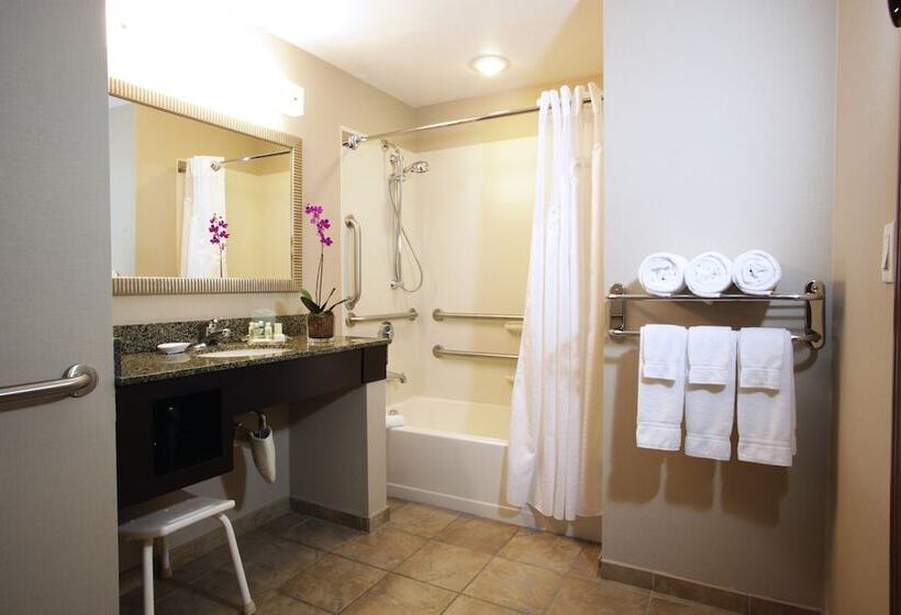Люкс Адаптированный для Инвалидов, Holiday Inn Phoenix/chandler, An Ihg
