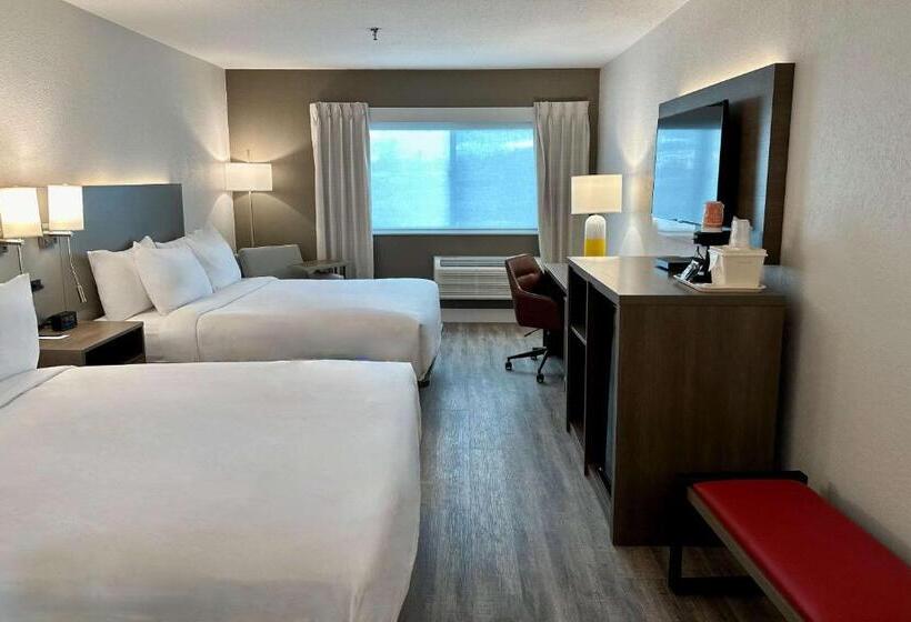 四人标准间, Comfort Inn Battle Mountain   Midway Between Elko And Winnemucca