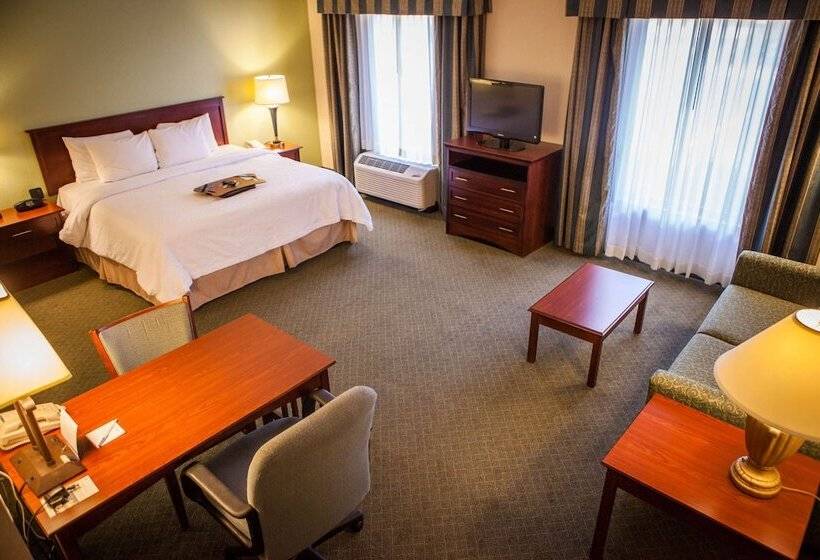 Studio Standard, Hampton Inn & Suites Springfield Southwest