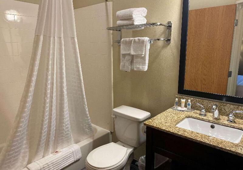 Стандартный Номер Кровать Кинг, Surestay Plus By Best Western Jonestown Lebanon Valley