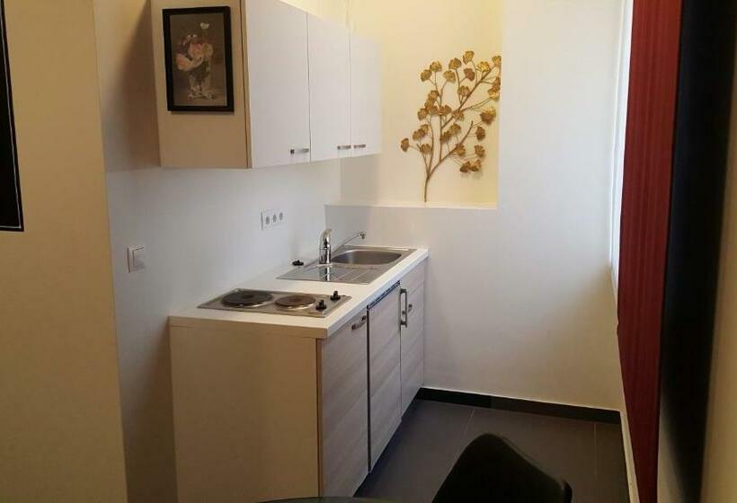 Апартаменты 1 Спальня, City Center Apartments Linz