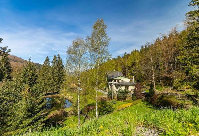 Номер Стандарт, Penzion Na Lomné