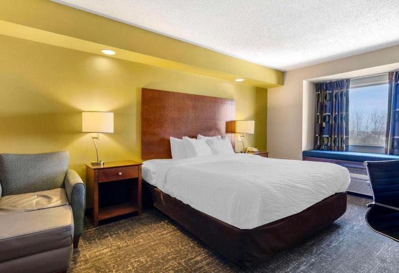 Стандартный Номер Нижний Этаж, Clarion Pointe Staunton East