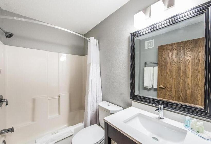 Люкс, Quality Inn Owatonna Near Medical Center