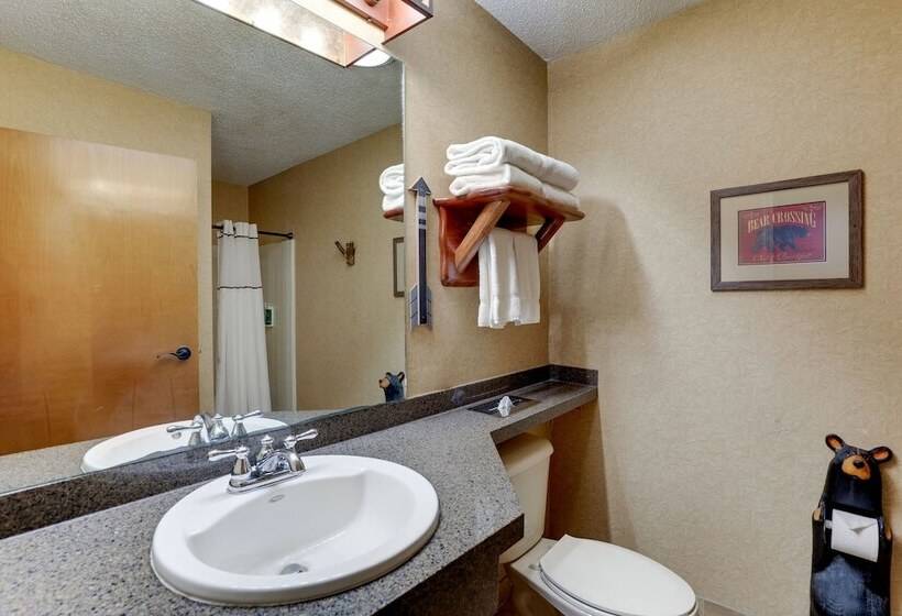 Люкс Superior, Stoney Creek Hotel Peoria