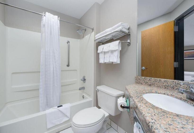 Cameră Standard Adaptată pentru Discapacitaţi, Stay 2night Chattanooga Hamilton Place
