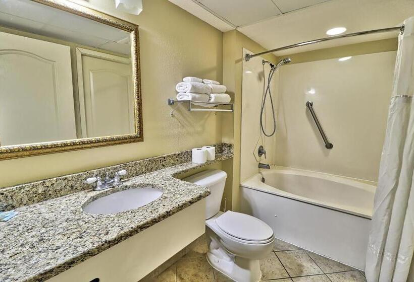 آپارتمان 1 خوابه با چشم‌انداز دریا, Suites At The Beach