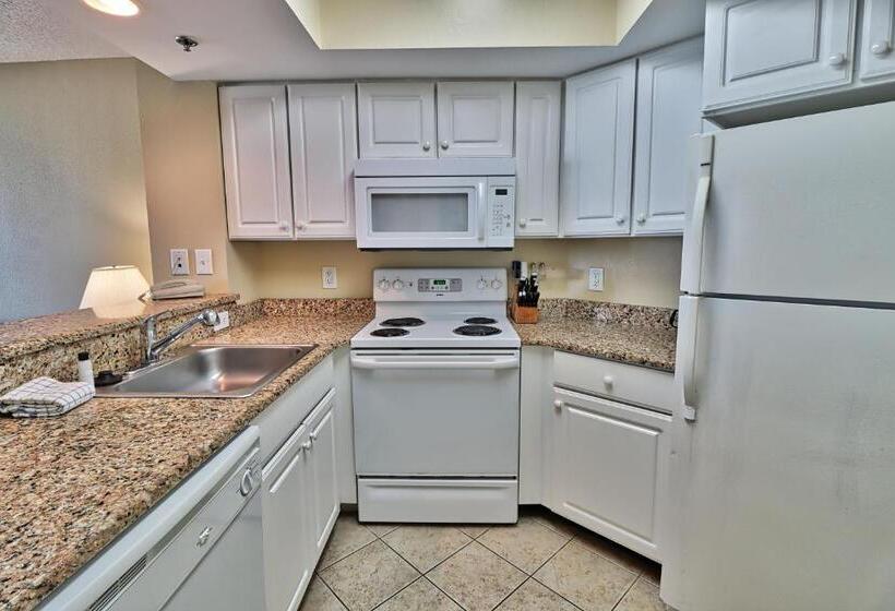 آپارتمان 1 خوابه با چشم‌انداز دریا, Suites At The Beach