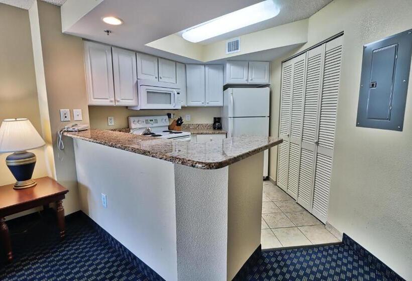 آپارتمان 1 خوابه با چشم‌انداز دریا, Suites At The Beach