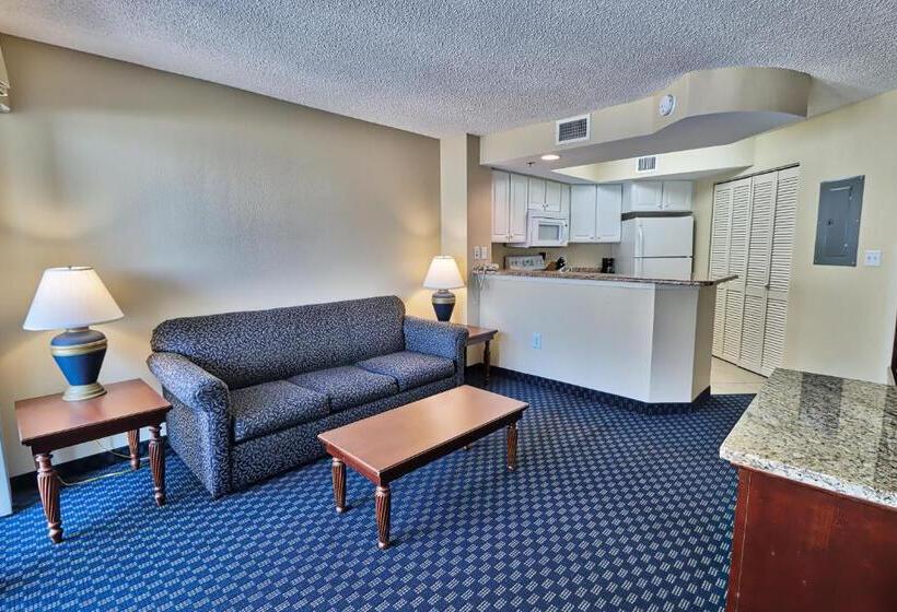 آپارتمان 1 خوابه با چشم‌انداز دریا, Suites At The Beach