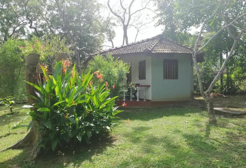 اتاق استاندارد, Calm Garden Cabanas
