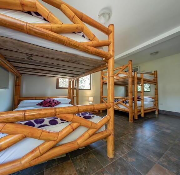 تختخواب در اتاق مشترک, Paradise Project Hostal
